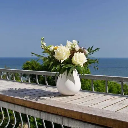 Schering App 4 Black White