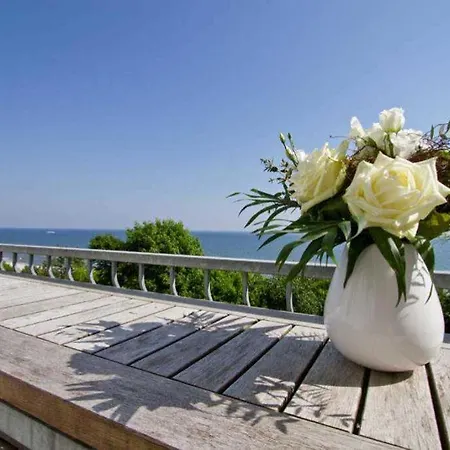 Schering App 4 Black White * هيرينجسدورف